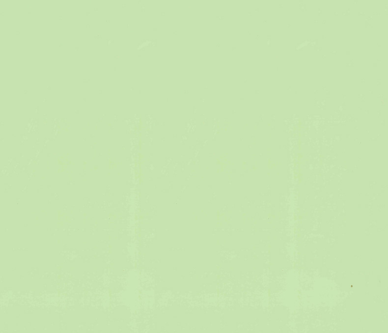 520果綠色／520果綠色邊